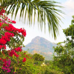 Guru of Glenborrodale Glenborrodale, Forest Glenborrodale Castle Ardnamurchan Truth Advaita Vedanta Shanti foundation Conscious community Ashram Versace Guru Rishi Guru Satsang Satsang with Shanti Shanti castle Spiritual Spiritual community, Enlightenment, Awakening , Maserati Guru, Forest, Arunachala
