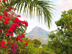 Arunachala2