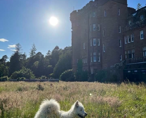 Guru of Glenborrodale Glenborrodale, Forest Glenborrodale Castle Ardnamurchan Truth Advaita Vedanta Shanti foundation Conscious community Ashram Versace Guru Rishi Guru Satsang Satsang with Shanti Shanti castle Spiritual Spiritual community, Enlightenment, Awakening , Maserati Guru, Forest