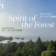 Guru of Glenborrodale Glenborrodale, Forest Glenborrodale Castle Ardnamurchan Truth Advaita Vedanta Shanti foundation Conscious community Ashram Versace Guru Rishi Guru Satsang Satsang with Shanti Shanti castle Spiritual Spiritual community, Enlightenment, Awakening , Maserati Guru